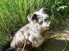 Im Frühling 2020 (3)